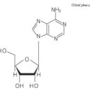 ATP [adenosine triphosphate] 이미지