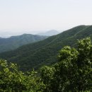 휴양림로 이미지