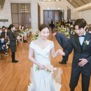 그린티스냅 이미지