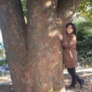 소원펜션 이미지