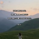 1176 | 사랑 명상 1176