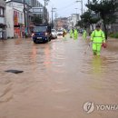 거진시내 이미지