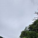 대포리마을회관 이미지