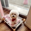 오늘도 너에개 이미지