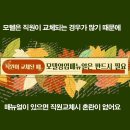 필 모텔(필무인텔) 이미지