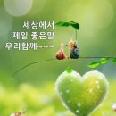 말~ 이미지