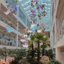 카페포레스트 | 용인 기흥 대형카페 평일후기 '포레스트아웃팅스' 식물원느낌 폴폴 힐링카페