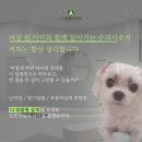365동판교동물병원 | 망포동물병원, 충남 아산에서 찾아오는 곳은 뭐가 다를까?