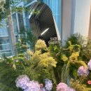 강남예약센터투어온주 | [서울/서초] 세인트메리스 강남 27년 하반기 웨딩홀 투어 후기