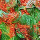 웰빙 한식 이미지