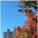 시민의 행정사 사무소 이미지