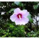 동성중학교 앞 이미지