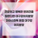 행복한강아지 | 건강하고 행복한 반려견을 원한다면 대구강아지분양 마마스미독 본점 대구강아지분양