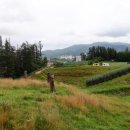 한땀목장 이미지