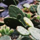 백학저수지 이미지