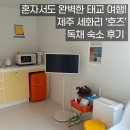 혼자서도 완벽한 태교 여행! 제주 세화리 ‘호즈’ 독채 숙소 후기