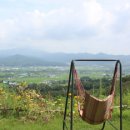 오토타운 이미지