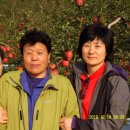 주왕산주산지민박 이미지