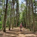 [경주 국립공원] 수서역발 SRT 타고 토함산 당일산행