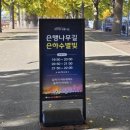 황금빛 가로수길 이미지