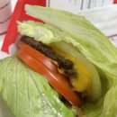 하이애니멀샵 이미지