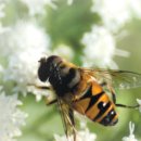 알리바바한의원 이미지