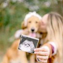 인천주안동물약국 이미지