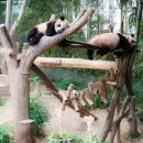 둔산중로32번길 이미지