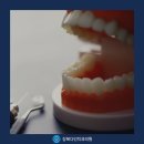 다인치과기공소 Daum카페