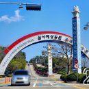 삼사해상빌리지 | 대구 근교 겹벚꽃, 영덕 삼사해상공원 오션뷰 벚꽃