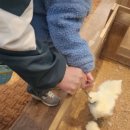 청곡초등학교(병설) 이미지