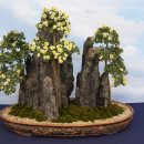 농업기술센터앞 이미지