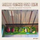 실내골프매트 브리사 골프채정리매트로 순서대로~