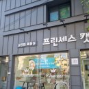 프린세스 캣 이미지