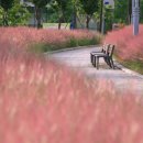 혁신도시중앙공원 이미지