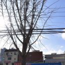 행운세차장 이미지