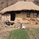 풍류경로당 이미지