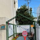 동매은빛 이미지