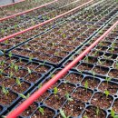 광전농장 이미지