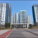 유성아파트 정문 앞 횡단보도 이미지
