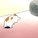또케