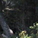 종일코스 이미지