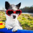 시원메디컬센타 이미지