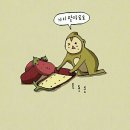 관악구 신림 산후도우미 인식 바꿔준 친정맘