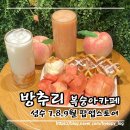 성수 팝업스토어 8월 복숭아 카페ㅣ방추리ㅣ 성수동 가볼만한곳 뚝섬 서울숲 데이트 복숭아맛집