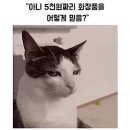 이정파트너스 - 강남구 삼성로 560 | 올리브영까지 제쳤다는 다이소 파데