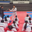 국가대표 태권도 금메달도장 마이데일리