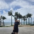 원종동물병원 | 2025.10.27-2025.11.02 지적