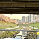 덕풍천서로 이미지