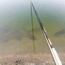 홍길동낚시터 이미지